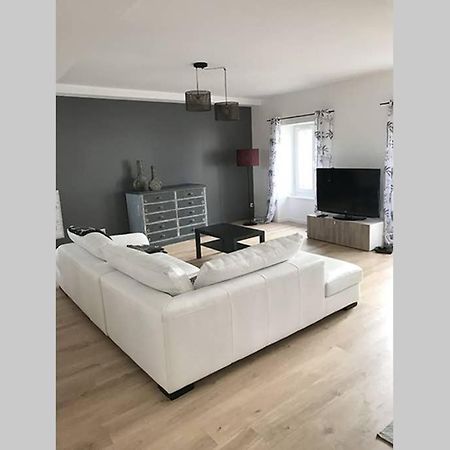 Annonay Centre, Grand Appartement Cosy, 3 Chambres Kültér fotó