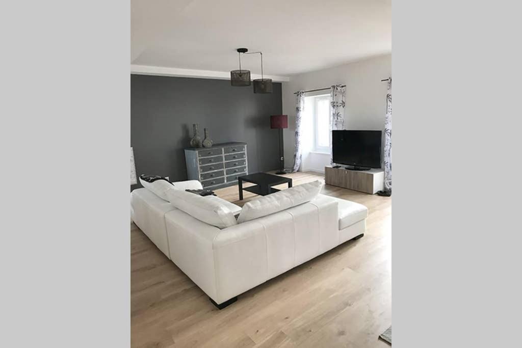 Annonay Centre, Grand Appartement Cosy, 3 Chambres Kültér fotó