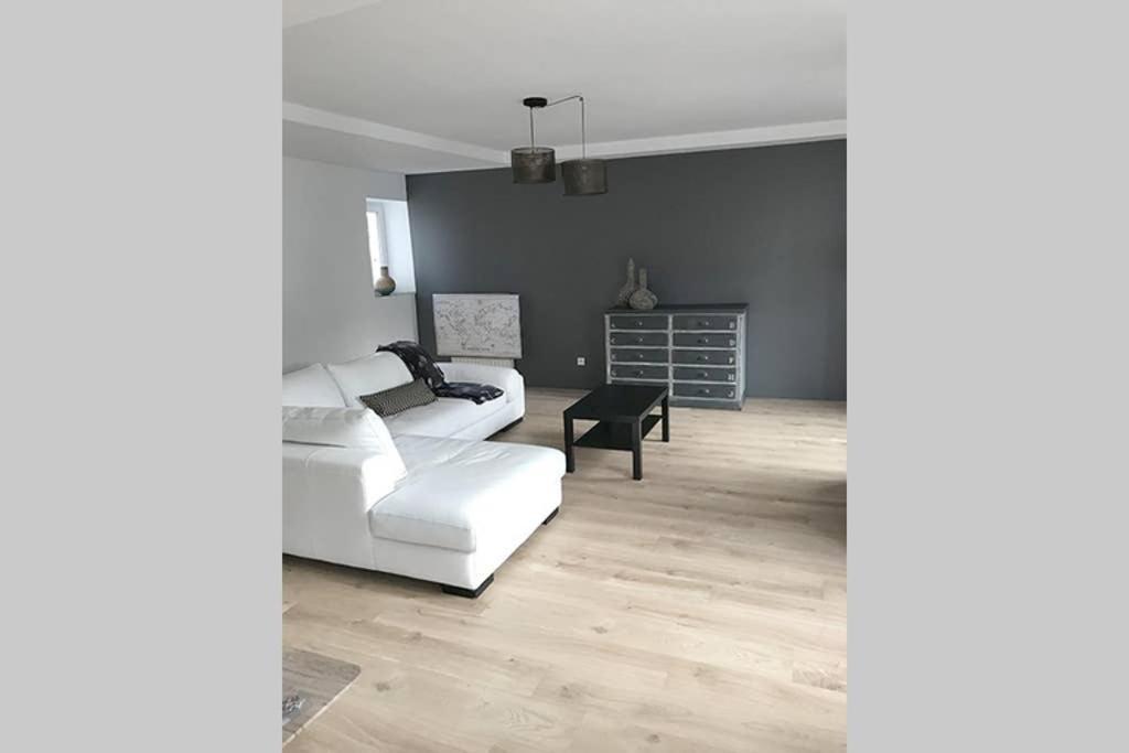 Annonay Centre, Grand Appartement Cosy, 3 Chambres Kültér fotó